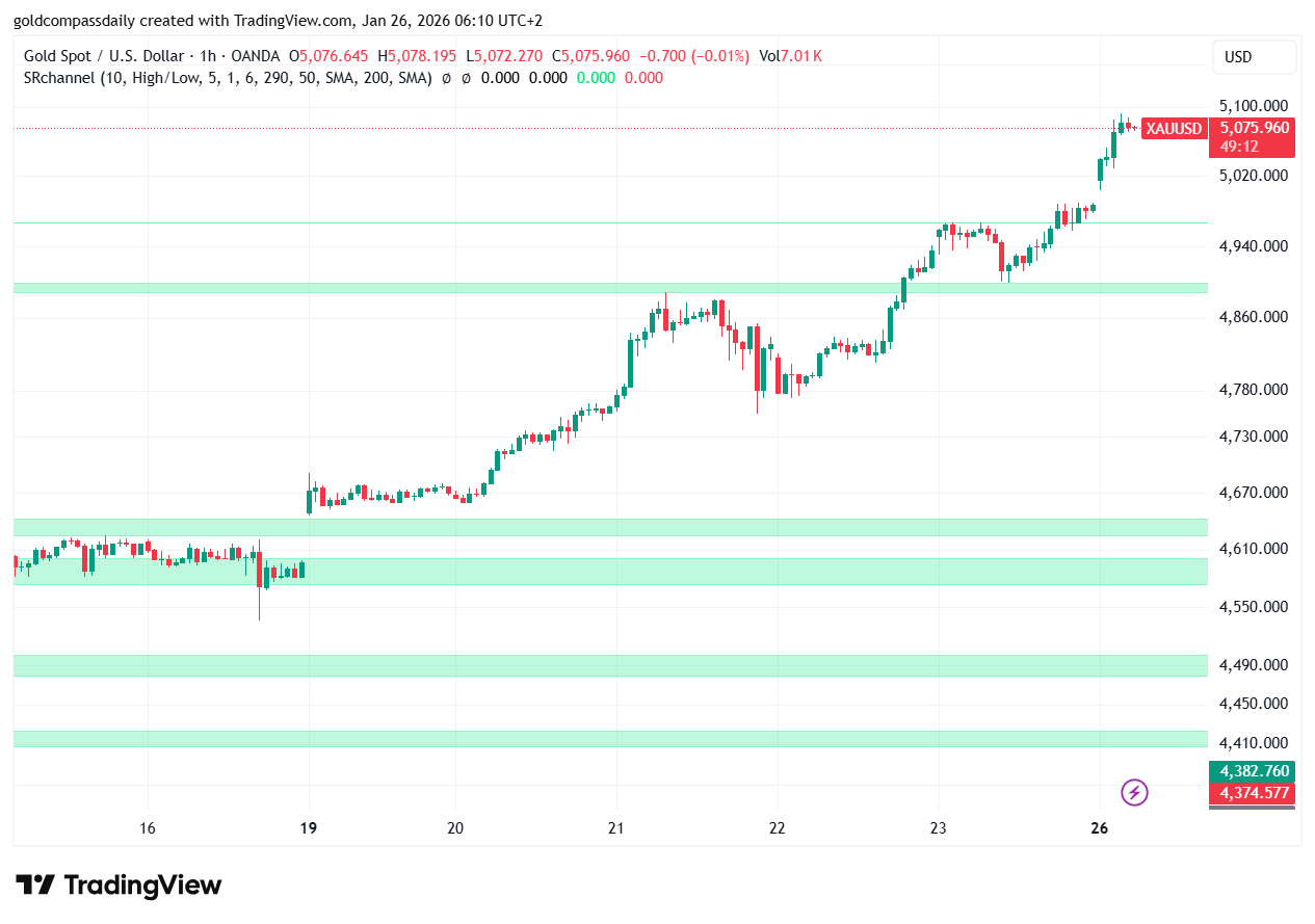 Gold 1-Hour Intraday Chart Liquidity Zones January 2026